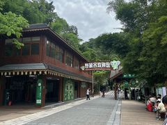 -野象谷景区