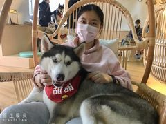 -Husky Go! 哈士奇体验馆·宠物咖啡厅狗咖