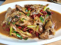 虎头鱼-金海湾海鲜排档(朱家尖店)