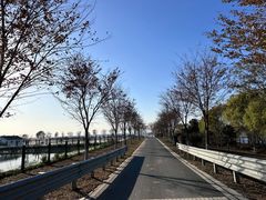 -莲花岛景区