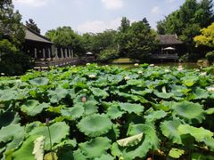 景观位-杭州西子湖四季酒店·金沙厅