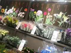 -鹿岛生活(熙地港店)