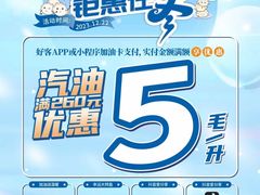 -中国石油徐东路加油站(武汉大道店)