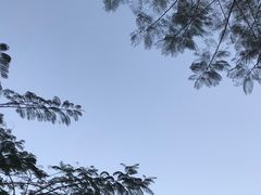 -昇记肠粉王(福华路店)
