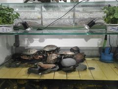 -甜心闲生传统手工冰粉(奎星楼店)
