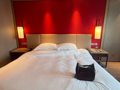 -南京维景国际大酒店(南京博物院店)