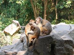 -杭州动物园