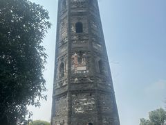 -上海佘山国家森林公园天马山园