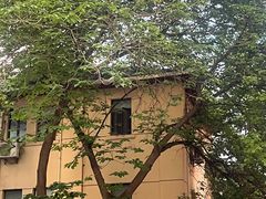 -南京全民健身中心(新街口店)