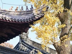 -灵谷景区