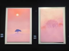 -罗红摄影艺术馆