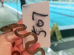 -二十一世纪饭店-游泳馆