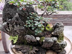 -裕丰源(福彩路店)