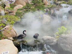 -罗红摄影艺术馆