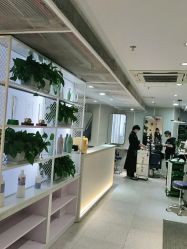 点击看大图 -PE SALON