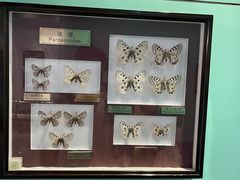 -上海昆虫博物馆