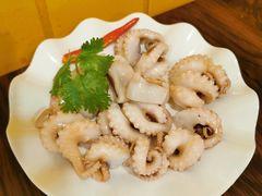 爽口八爪鱼-全渔村小海鲜