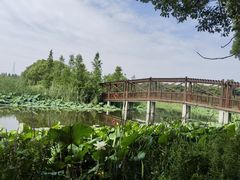 -同里国家湿地公园