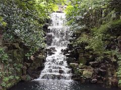 -十八棵（老龙井）御茶园(老龙井店)