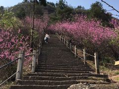 -天台山赤城山景区