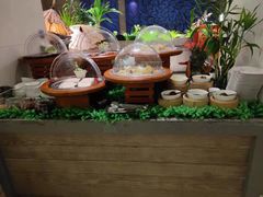 -海口绿发希尔顿酒店-田园汇自助餐·三文鱼·海鲜