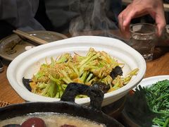-鸽子窝(青塔店)