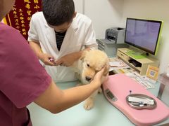 -宠福鑫康馨动物医院·骨科·眼科