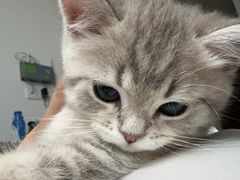 -美迦爱-牙专科·兔科·骨科诊疗中心(北苑店)