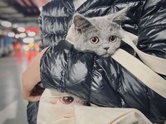 -1013 PET SHOP 宠物商店(近铁城市广场店)