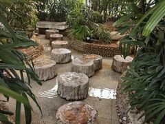 -三江森林温泉度假区