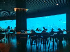 -海棠湾洲际-涛·海底餐厅·美人鱼·自助餐·海底隧道