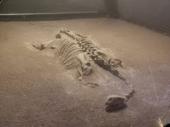 -世界恐龙谷景区