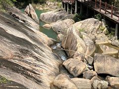 -广州白江湖森林公园