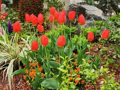 -徐家汇源景区-衡山公园