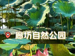 -廊坊市自然公园
