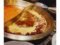 番茄鸳鸯-小龙坎火锅(黄河店)