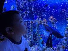 -太平洋海底世界