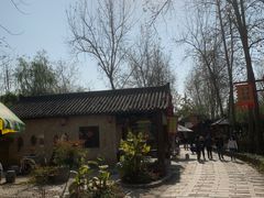 -合肥滨湖国家森林公园