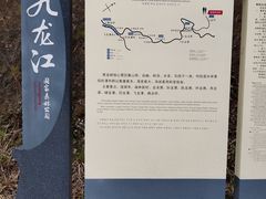 -九龙江国家森林公园