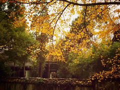 -无锡惠山寺