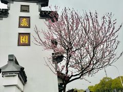 -无锡蠡湖国家湿地公园-蠡园