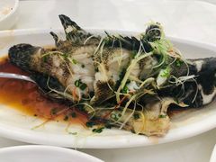 -南海渔家•海鲜•正宗海南菜(海棠湾店)