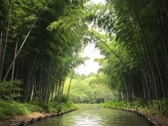 -同里国家湿地公园