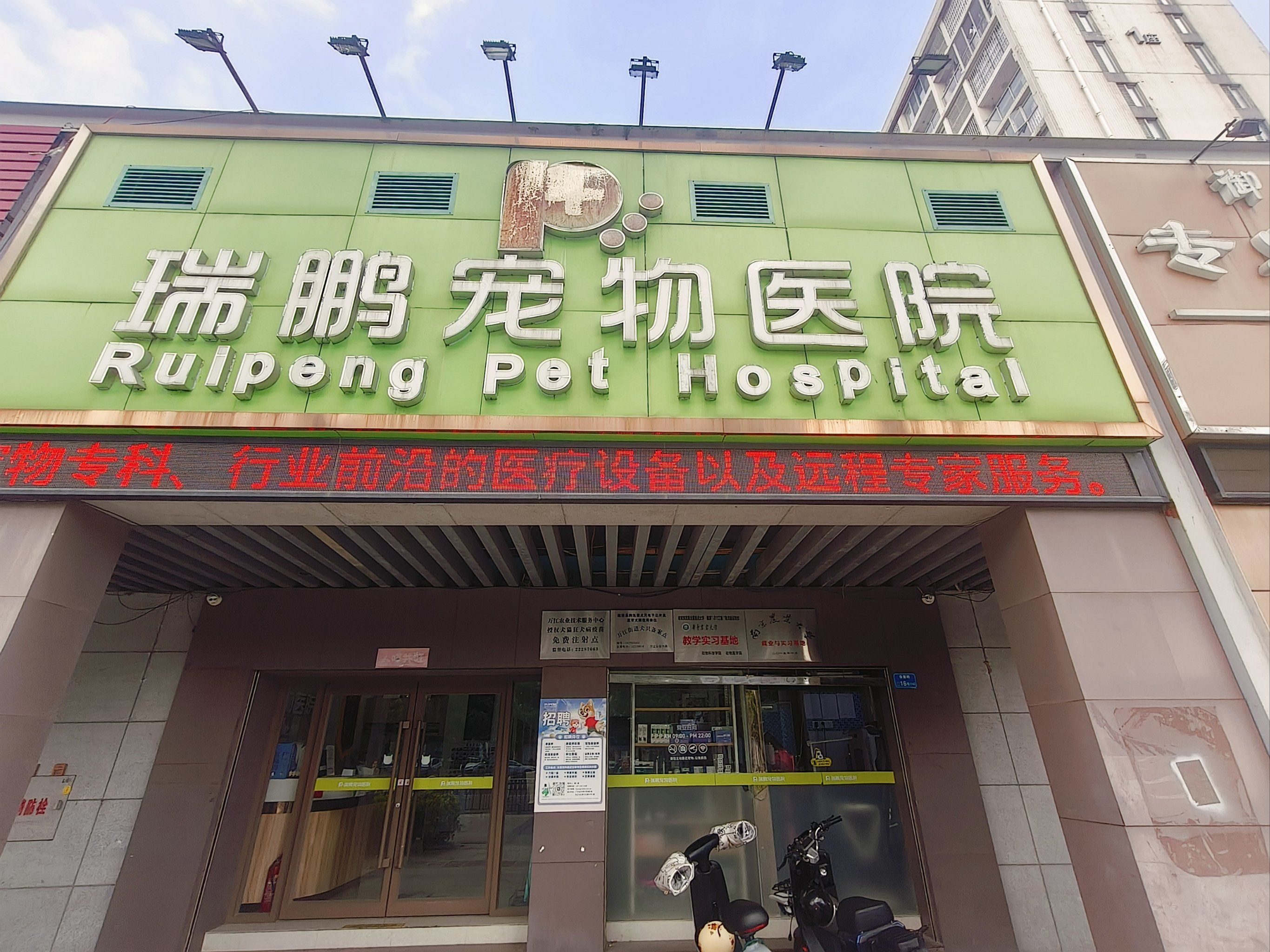 瑞鹏宠物医院万江分院垃圾店,前两天看