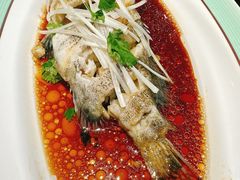 -巧克力渔家.小船海鲜胶东菜(三浴场店)