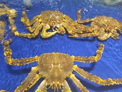 -三亚火车头万人海鲜广场