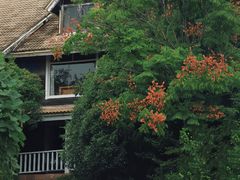 -威海大乳山景区
