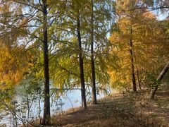 -上海海湾国家森林公园