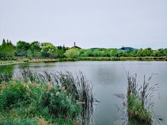-北坞公园