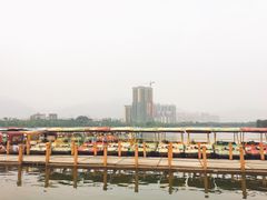 -飞来湖湿地公园